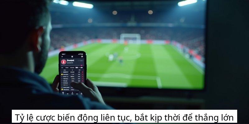 Tỷ lệ cược biến động liên tục, bắt kịp thời để thắng lớn